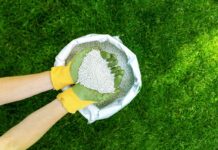 Why Your Lawn Needs Fertilizer Why Your Lawn Needs Fertilizer