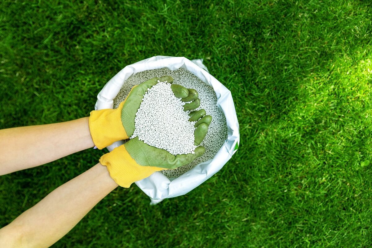 Why Your Lawn Needs Fertilizer
